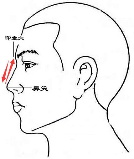 搓鼻梁:用拇指指腹置于鼻尖位置,从鼻尖往印堂方向反复搓动,10