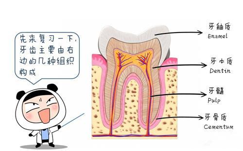 辰牙齿猜一成语_木猜一成语疯狂看图