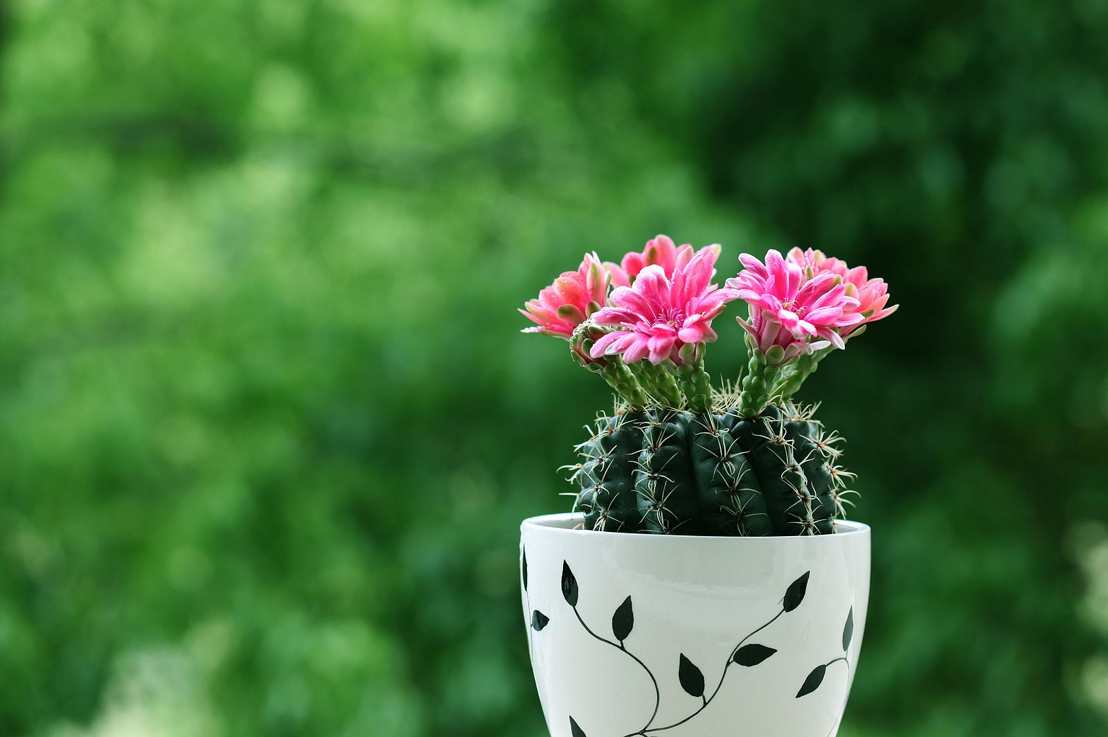 日常生活中汗疱症患者如何自我保健